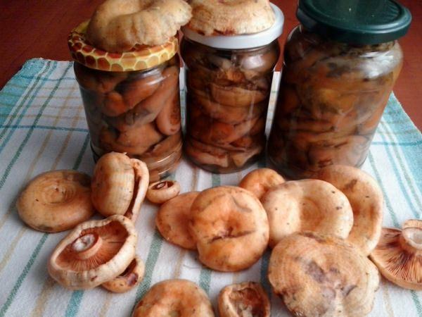 ฝานมหญ้าฝรั่นในขวดบนโต๊ะ