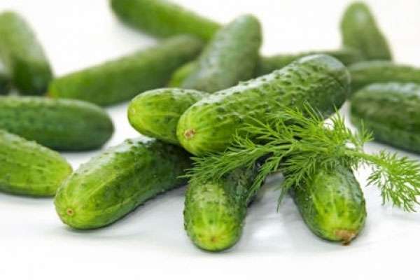 แตงกวาบนโต๊ะ