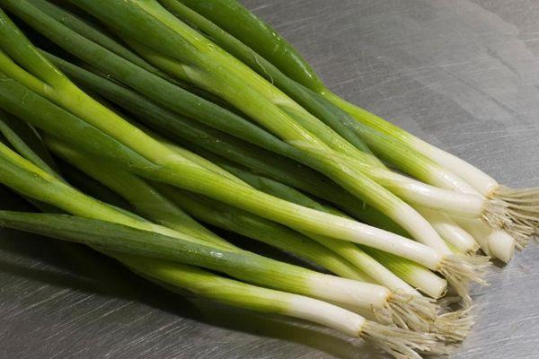 โทเท็มธนู