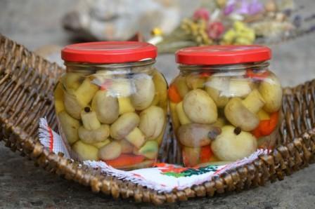 เห็ดแชมปิญองหมัก