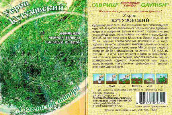 ผักชีลาวคูตูซอฟสกี้