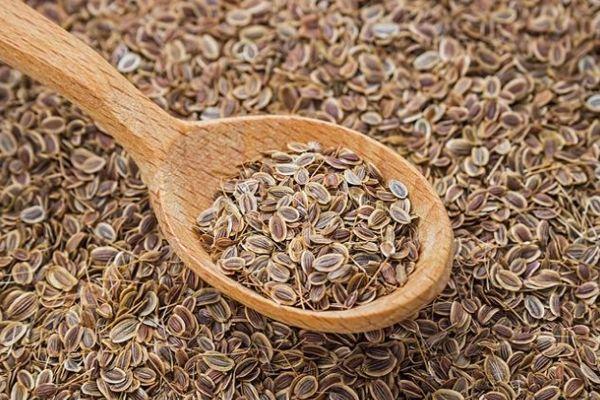 เมล็ดผักชีลาว