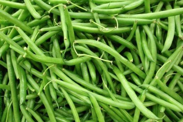 ถั่วน้ำตาล