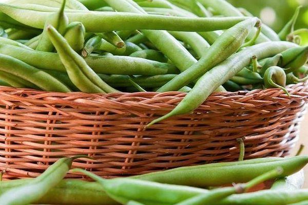 ตะกร้าถั่ว