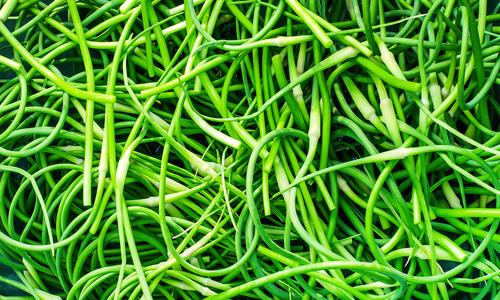 ลูกศรกระเทียม