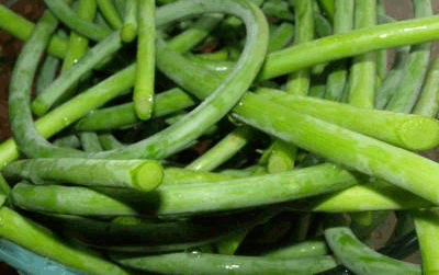 ลูกศรกระเทียม