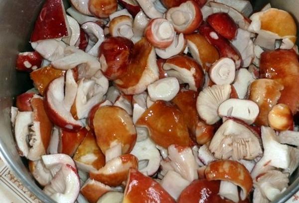 รัสซูล่าที่ล้างแล้ว