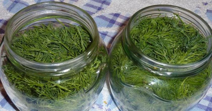 ผักชีลาวดองสำหรับฤดูหนาว