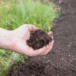 พีทเป็นปุ๋ย