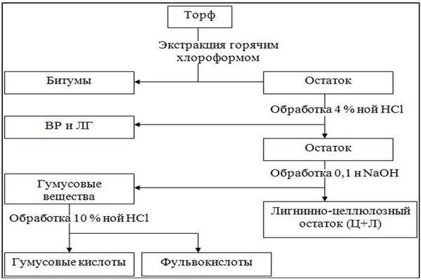 Composition de la tourbe