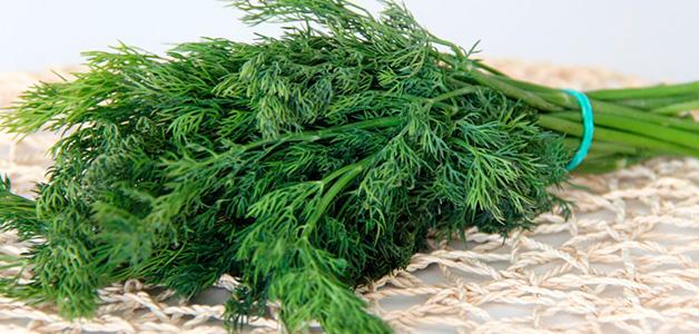 พวงผักชีลาว