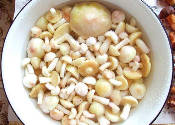 เห็ดปอกเปลือก