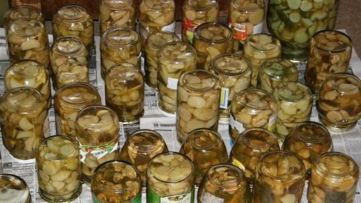 เห็ดดอง