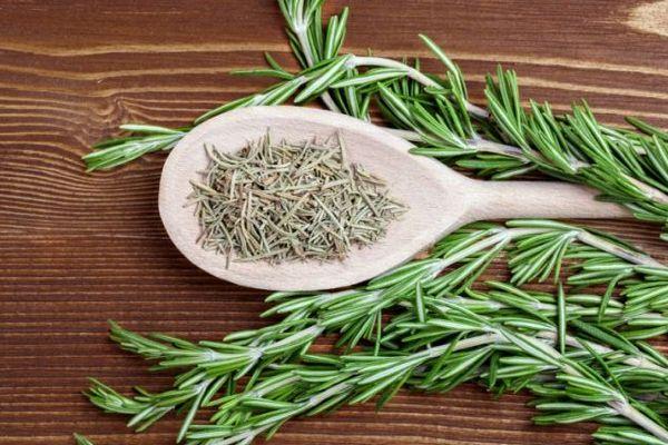 โรสแมรี่แห้ง