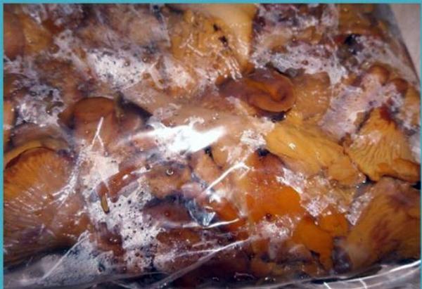 การแช่แข็งเห็ดแคนทาเรล