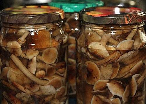 เห็ดดองเนย