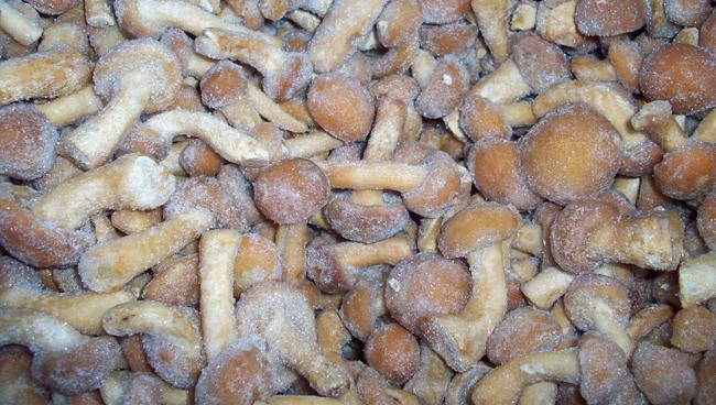 congeler des champignons