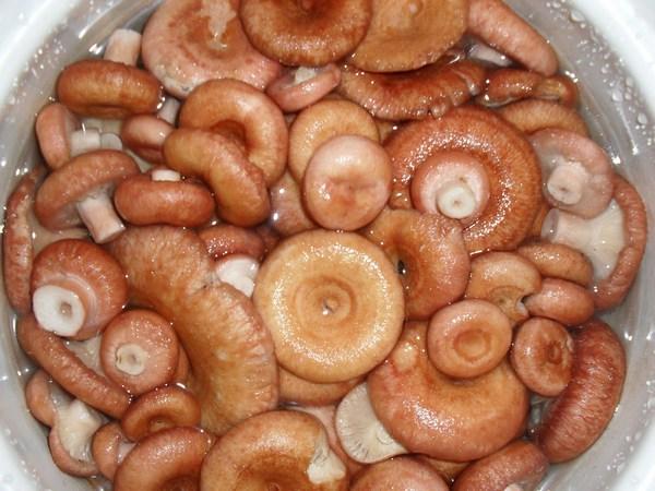 การแช่เห็ด