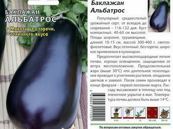 นกอัลบาทรอส