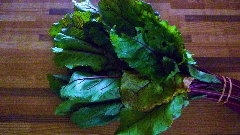 ยอดบีทรูท