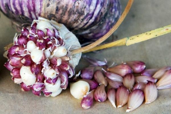 หัวกระเทียม