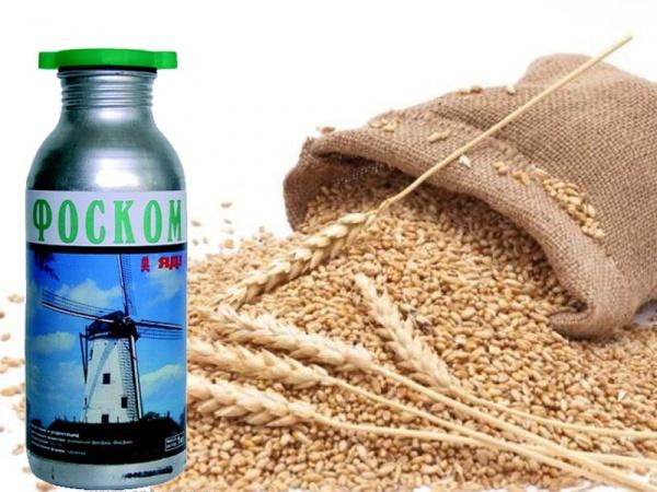 ปุ๋ยสำหรับข้าวสาลี