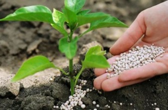 การใช้ปุ๋ยแร่ธาตุ