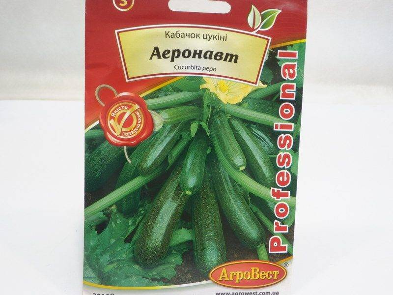 ซูกินีแอโรนอต