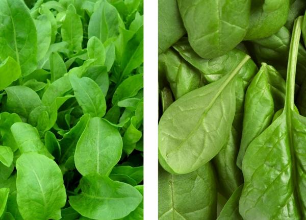 Épinards à l'oseille