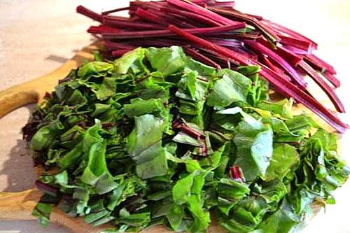 ยอดบีทรูท