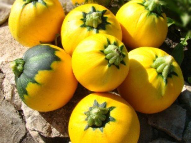 ซูกินี่สีส้ม