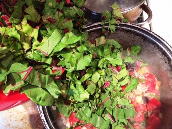 ยอดบีทรูท