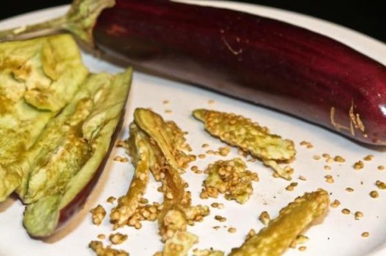 ต้นกล้ามะเขือยาว