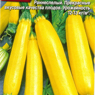 กล้วยบวบ