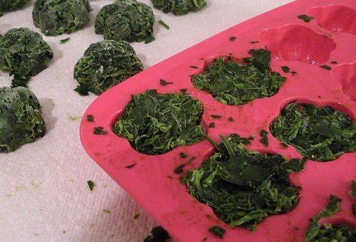 การแช่แข็งผักชีฝรั่ง