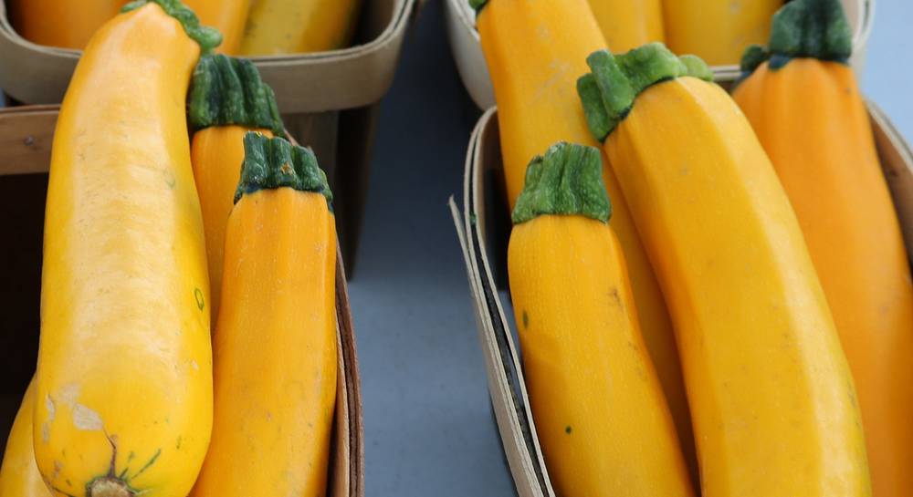 สควอชสีทอง