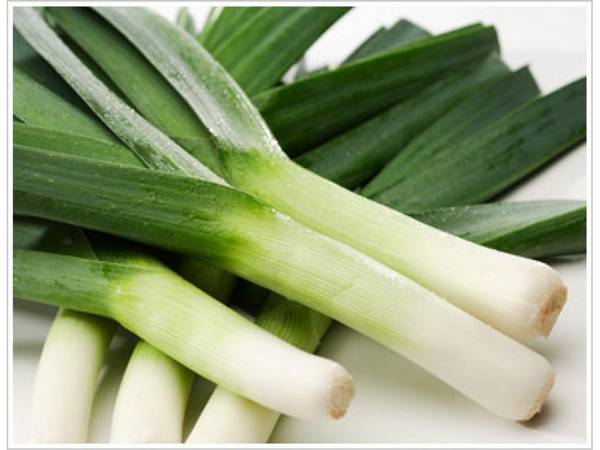 ลักษณะของต้นหอม