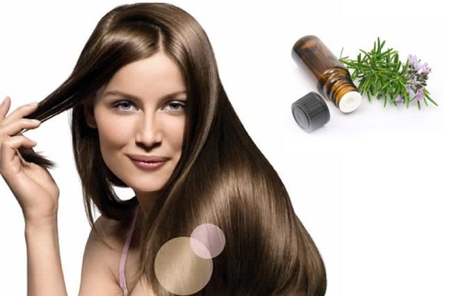 สรรพคุณทางยาของโรสแมรี่