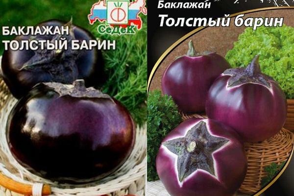 พันธุ์แฟตมาสเตอร์