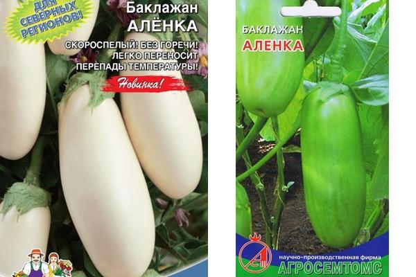 พันธุ์อเลนก้า