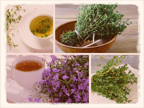 การแช่ไธม์