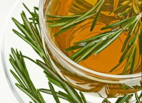 สรรพคุณทางยาของโรสแมรี่