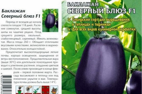 พันธุ์บลูส์เหนือ