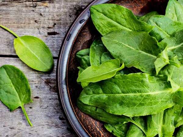 oseille dans une assiette