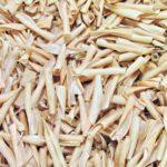 ลักษณะของฝักถั่ว