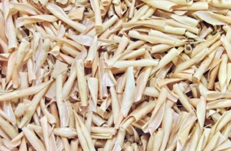 ลักษณะของฝักถั่ว