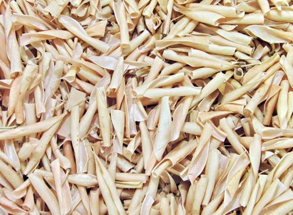 ลักษณะของฝักถั่ว