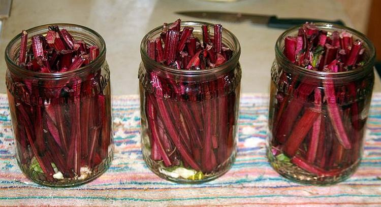 ยอดบีทรูท