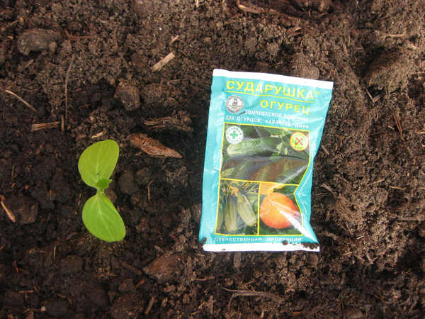 ปุ๋ย "สุดารุษกา"