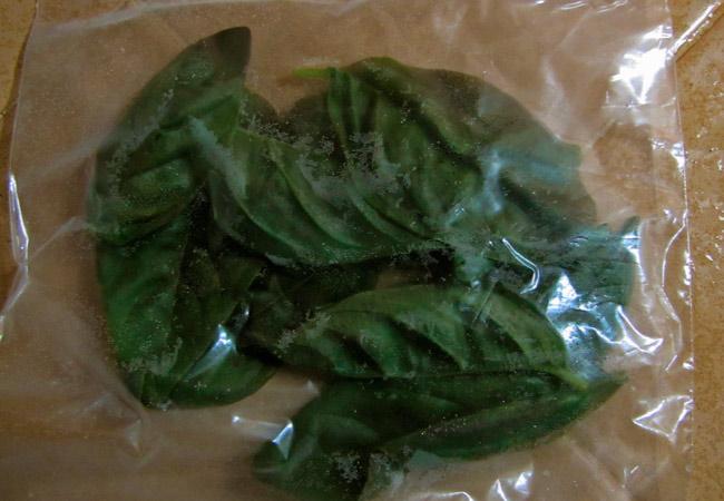 โหระพาแช่แข็ง